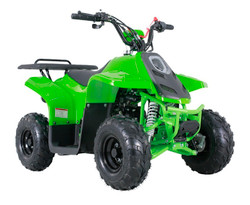 Taotao 4-Wheeler