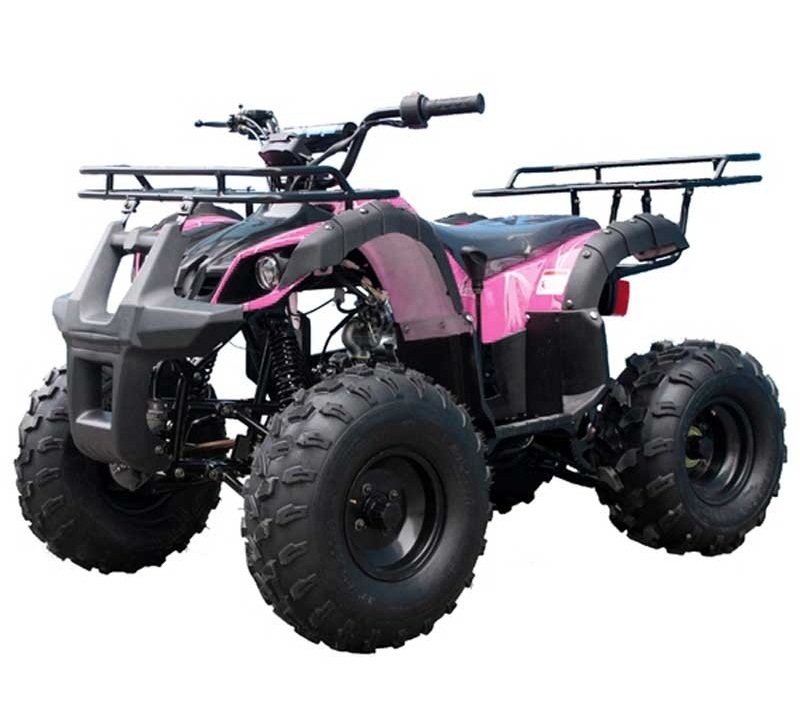 Taotao Atvs For Sale